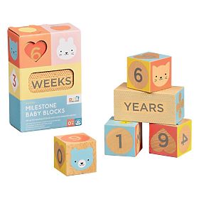 Petit Collage Stylish cubes Milestone